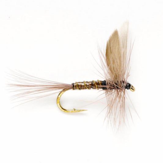 Blue Quill - US 7978