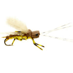Larson’s Legend Golden Stone Dry - US 7600