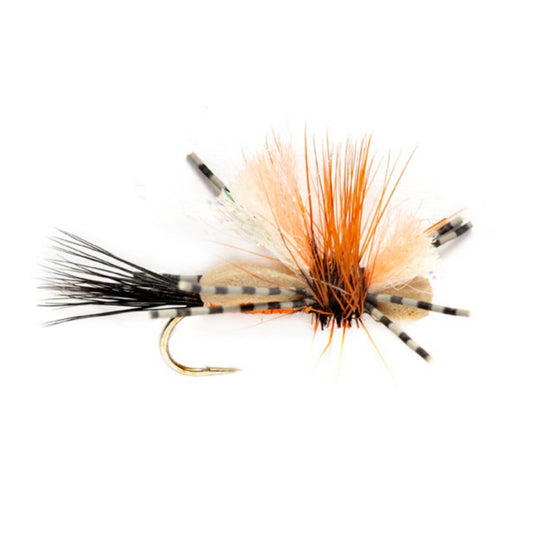 Holo Humpy - US 9215