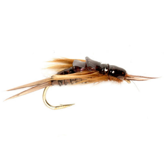 OE Stonefly Nymph - US 0054