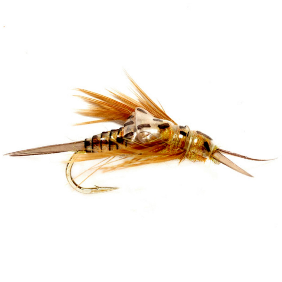 OE Stonefly Nymph - US 6169