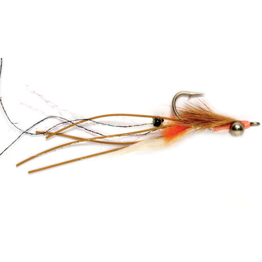 Peterson’s Spawning Shrimp - US 2752
