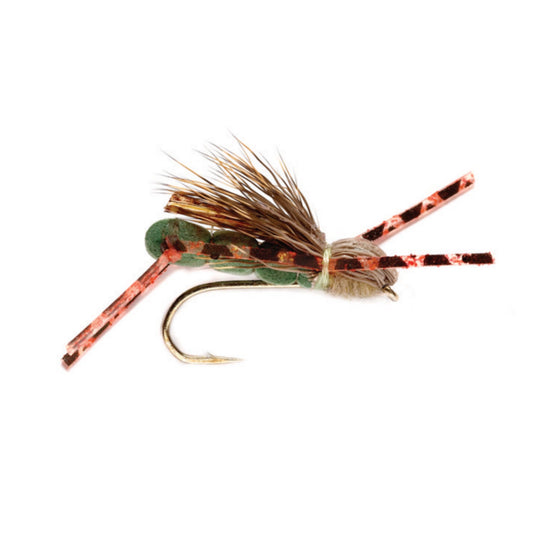 Foam Park Hopper - US 8726
