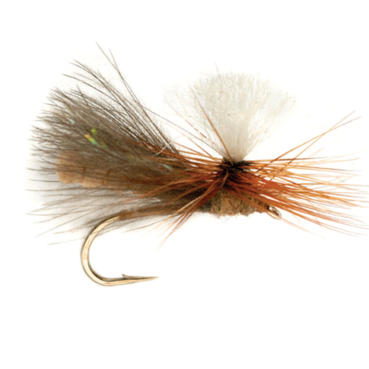 NBK Caddis Dry - US 7681