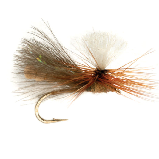 NBK Caddis Dry - US 7681