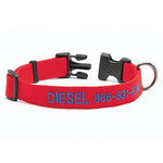 Personalized Side-Release Buckle Collar & Leash - US 7784