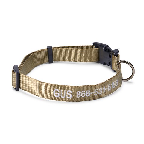 Personalized Side-Release Buckle Collar & Leash - US 1596