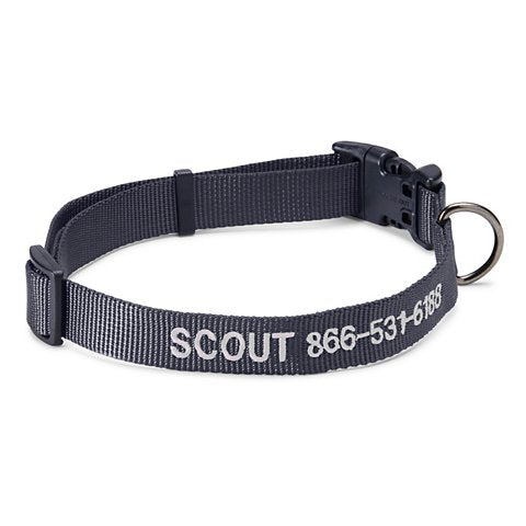 Personalized Side-Release Buckle Collar & Leash - US 8571