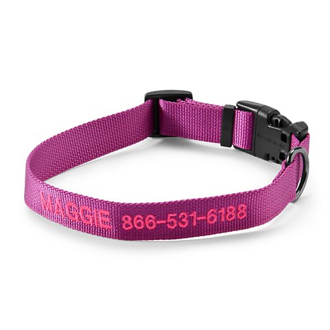 Personalized Side-Release Buckle Collar & Leash - US 1646