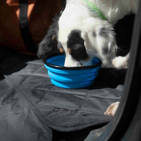 Tough Trail® Collapsible Dog Bowl - US 2794