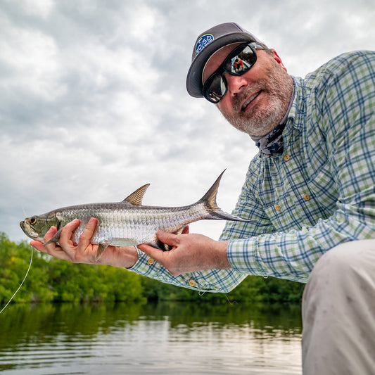 Everglades Saltwater School, FL - US 8492