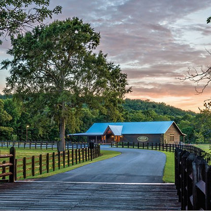 Orvis Two-Day Quail School At Pursell Farms, AL - US 5632